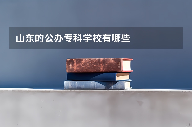 山东的公办专科学校有哪些