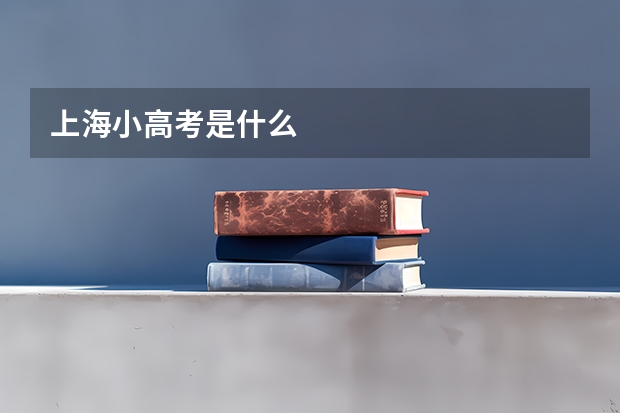 上海小高考是什么