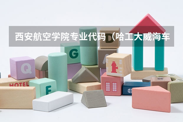 西安航空学院专业代码（哈工大威海车辆工程 全国排名）