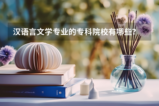 汉语言文学专业的专科院校有哪些？