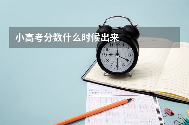 小高考分数什么时候出来