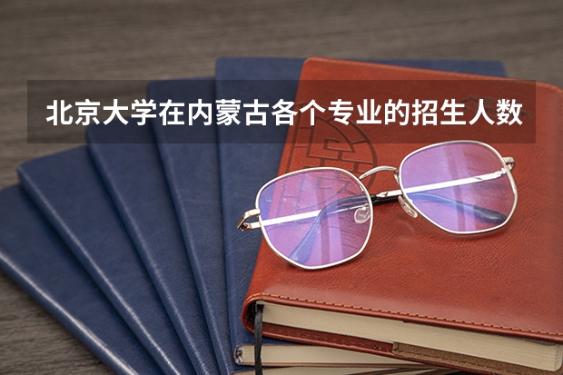 北京大学在内蒙古各个专业的招生人数是多少