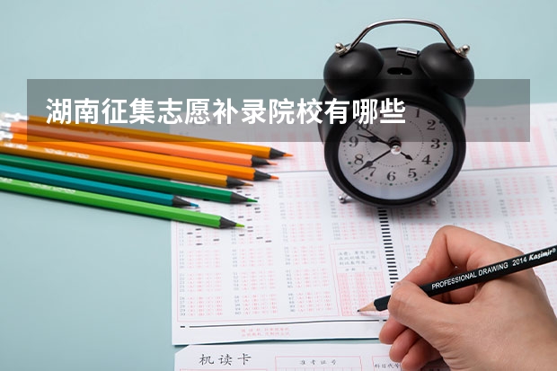 湖南征集志愿补录院校有哪些