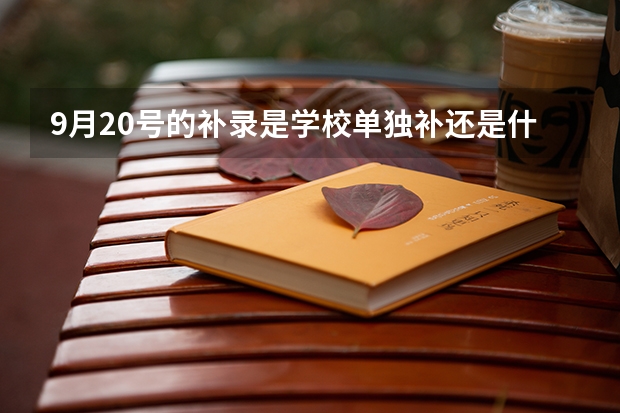 9月20号的补录是学校单独补还是什么情况。  有谁清楚这情况哦，