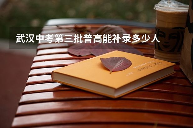 武汉中考第三批普高能补录多少人