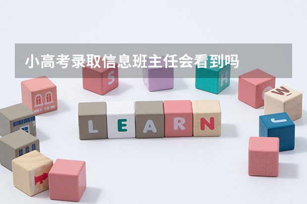 小高考录取信息班主任会看到吗