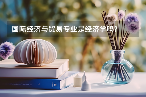 国际经济与贸易专业是经济学吗？