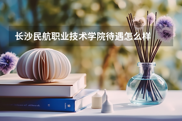 长沙民航职业技术学院待遇怎么样
