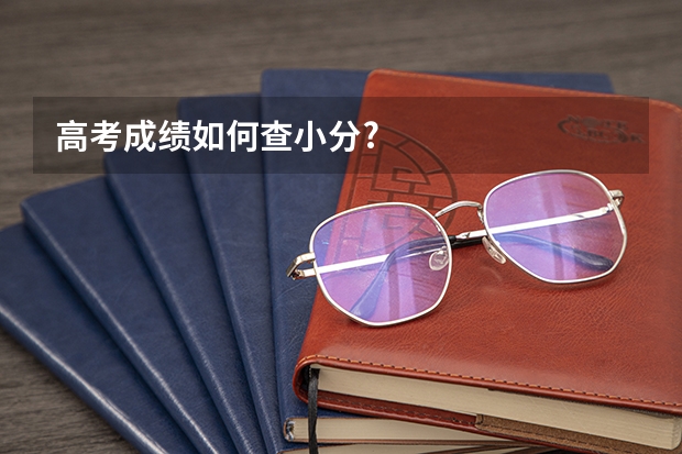 高考成绩如何查小分?
