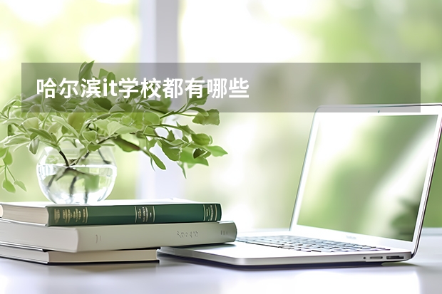 哈尔滨it学校都有哪些
