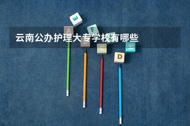 云南公办护理大专学校有哪些