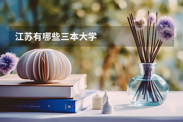 江苏有哪些三本大学