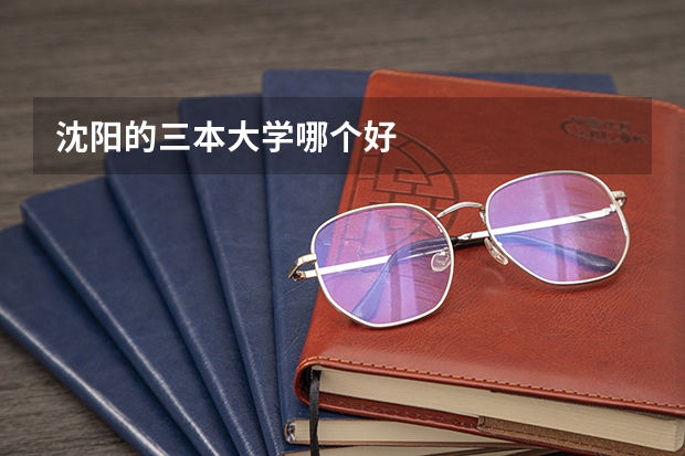 沈阳的三本大学哪个好