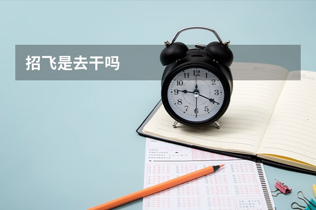 招飞是去干吗