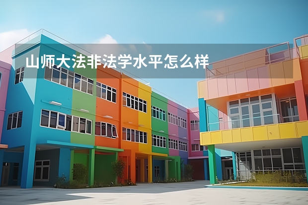 山师大法非法学水平怎么样