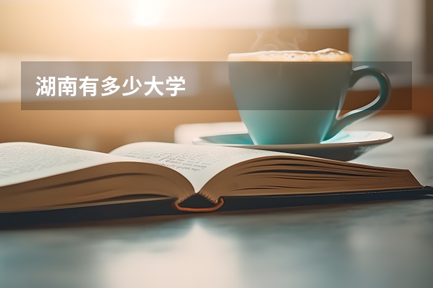 湖南有多少大学