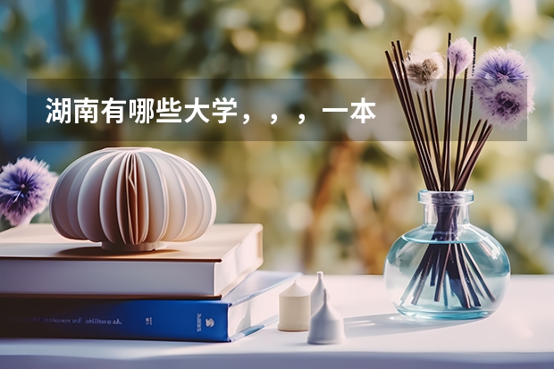 湖南有哪些大学,,,一本