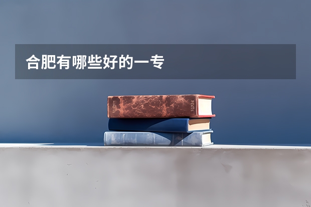 合肥有哪些好的一专