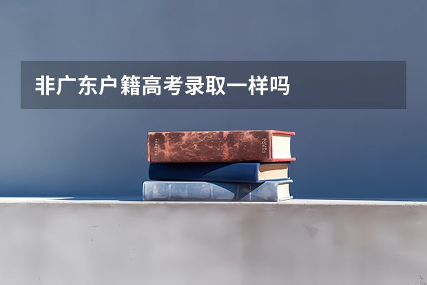 非广东户籍高考录取一样吗