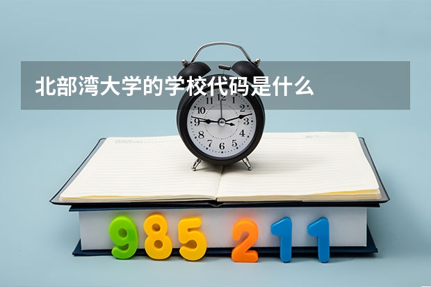 北部湾大学的学校代码是什么