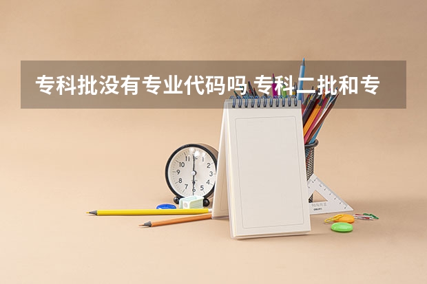 专科批没有专业代码吗 专科二批和专科三批有何区别(亟待解决)有满意答案可追加悬赏分