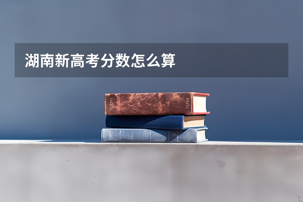 湖南新高考分数怎么算