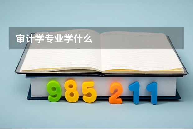 审计学专业学什么