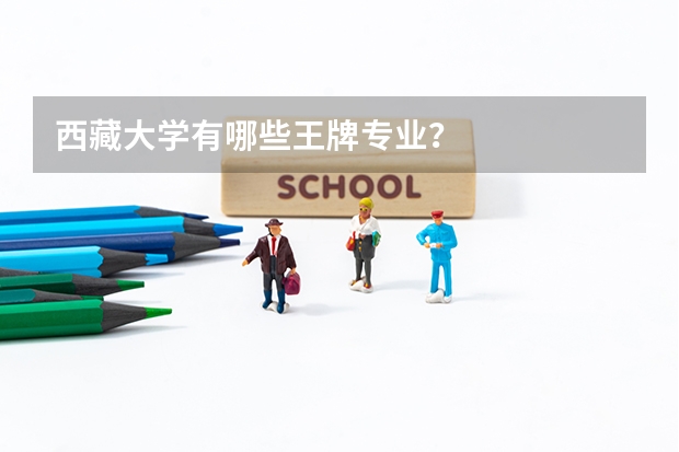 西藏大学有哪些王牌专业？