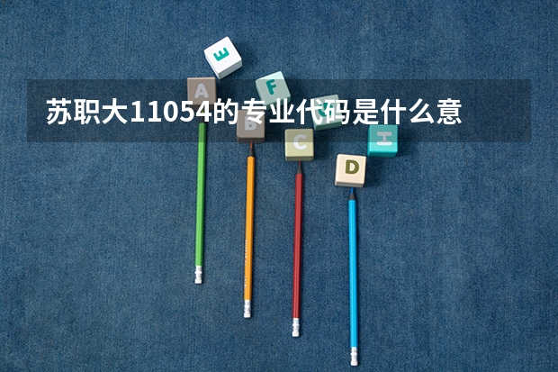 苏职大11054的专业代码是什么意思？