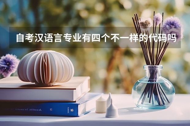 自考汉语言专业有四个不一样的代码吗