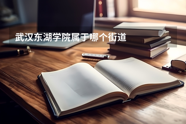 武汉东湖学院属于哪个街道