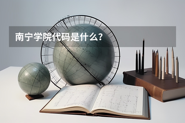 南宁学院代码是什么?