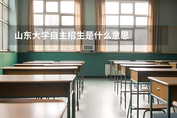 山东大学自主招生是什么意思