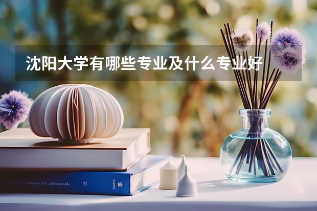 沈阳大学有哪些专业及什么专业好