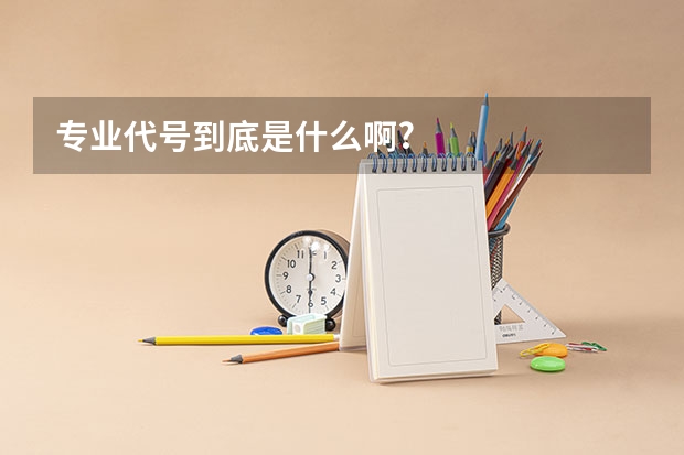 专业代号到底是什么啊?