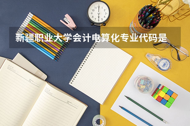 新疆职业大学会计电算化专业代码是 新疆政法学院专业代码