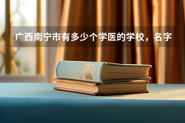 广西南宁市有多少个学医的学校，名字分别是什么