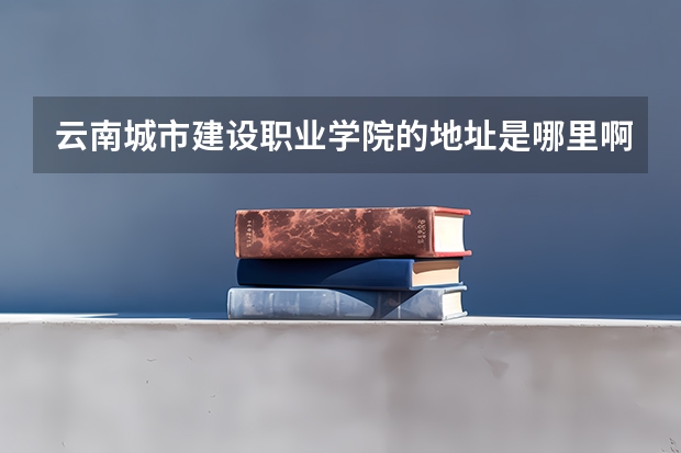 云南城市建设职业学院的地址是哪里啊?