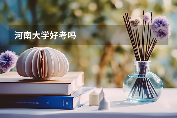 河南大学好考吗
