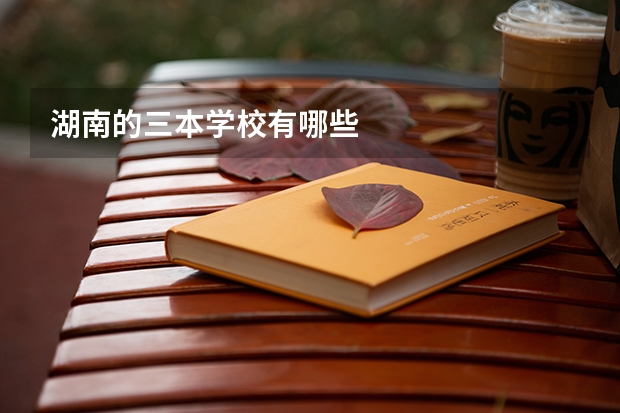 湖南的三本学校有哪些