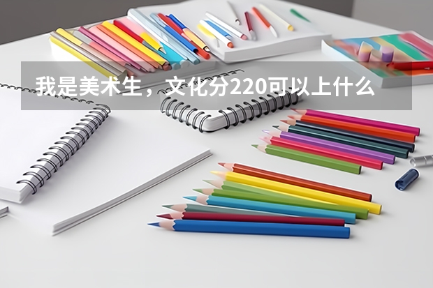 我是美术生，文化分220可以上什么大学？
