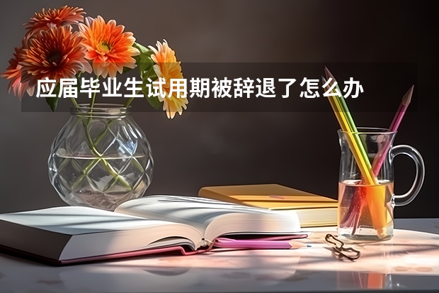 应届毕业生试用期被辞退了怎么办
