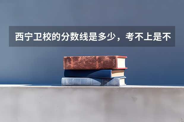 西宁卫校的分数线是多少，考不上是不是不要啊