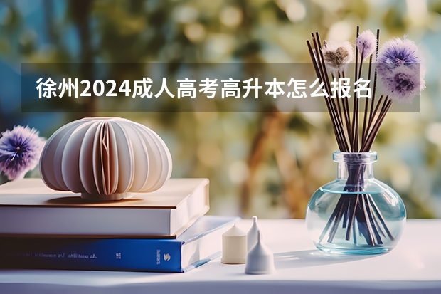徐州2024成人高考高升本怎么报名