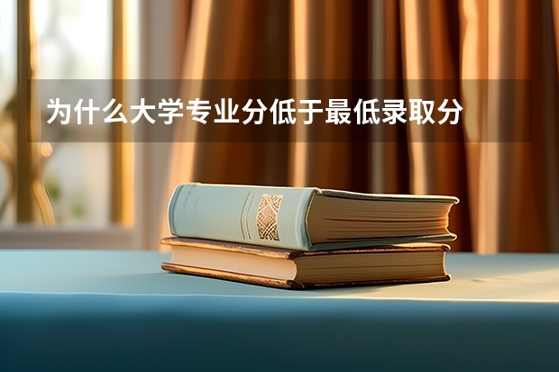 为什么大学专业分低于最低录取分