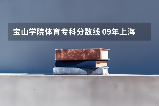 宝山学院体育专科分数线 09年上海宝山区中考各校录取分数线