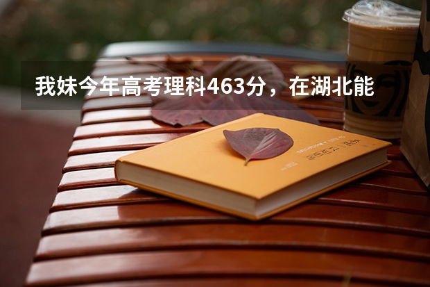 我妹今年高考理科463分,在湖北能报什么学校?