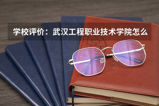 学校评价：武汉工程职业技术学院怎么样？