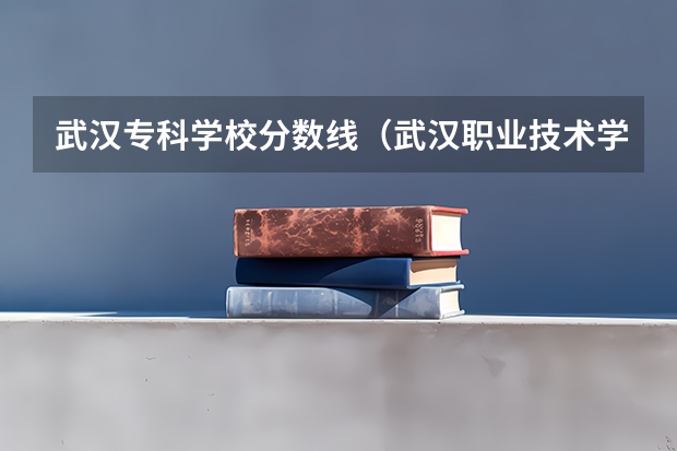 武汉专科学校分数线（武汉职业技术学院专业分数线）
