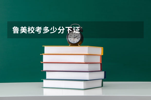 鲁美校考多少分下证